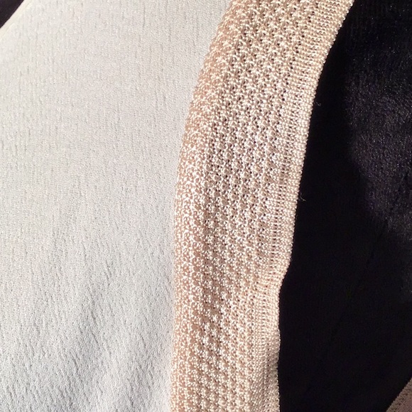 Zara sleeveless hi low blouse tan shimmer trim M - Picture 3 of 6